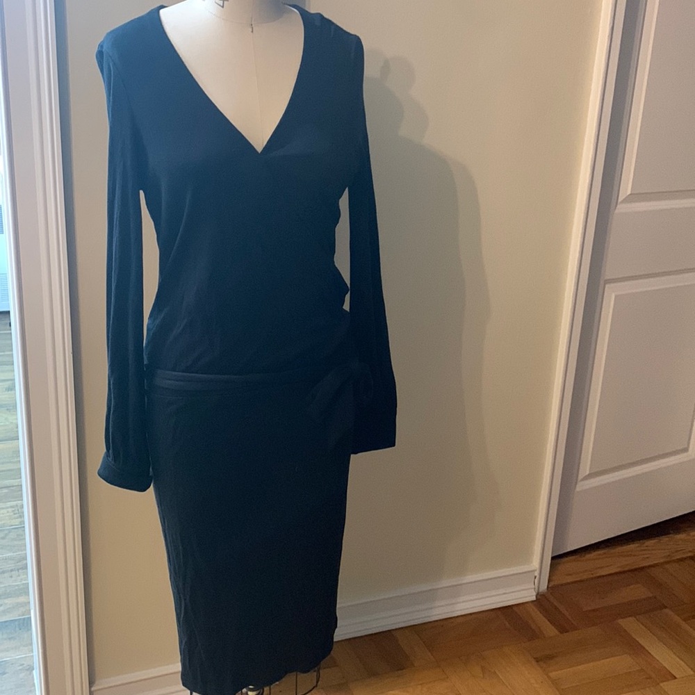 Club Monaco dress